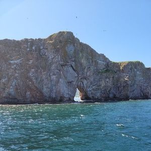 Meet your Posher, Martin